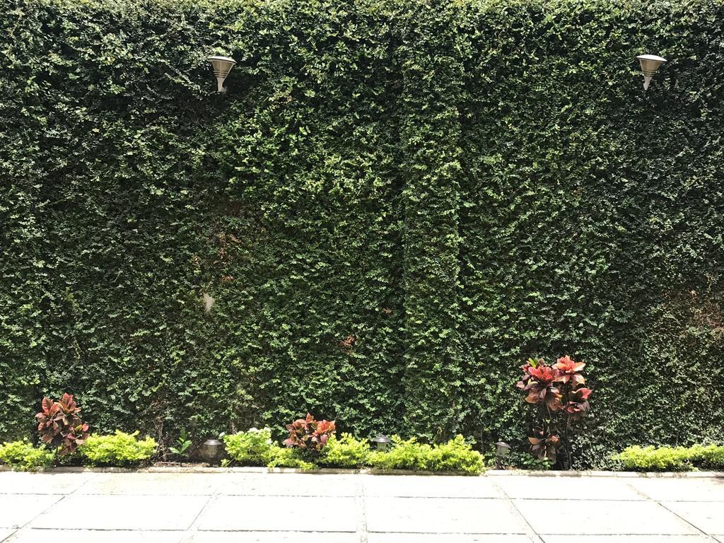 Real Avenida Hotel Tuxtla Gutierrez Ngoại thất bức ảnh